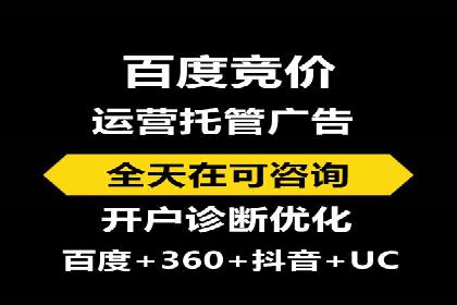 搜索引擎营销（SEM）公司某某的客户成功故事